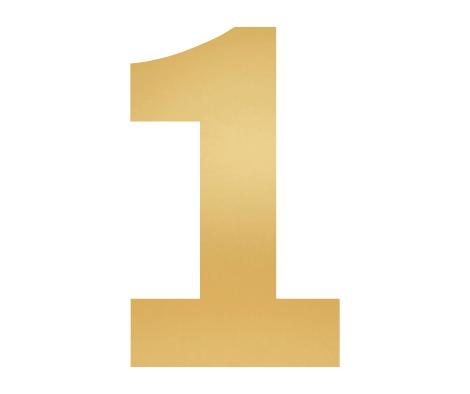 1 (1)
